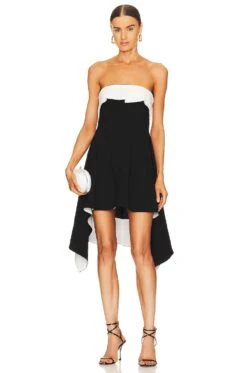 Lennox Mini Dress Black & White