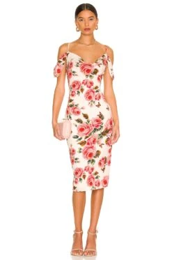 Tasha Drape Midi Dress Blush Floral